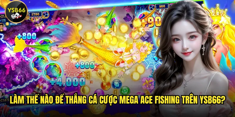 Làm thế nào để thắng cá cược Mega Ace Fishing trên Ysb66?