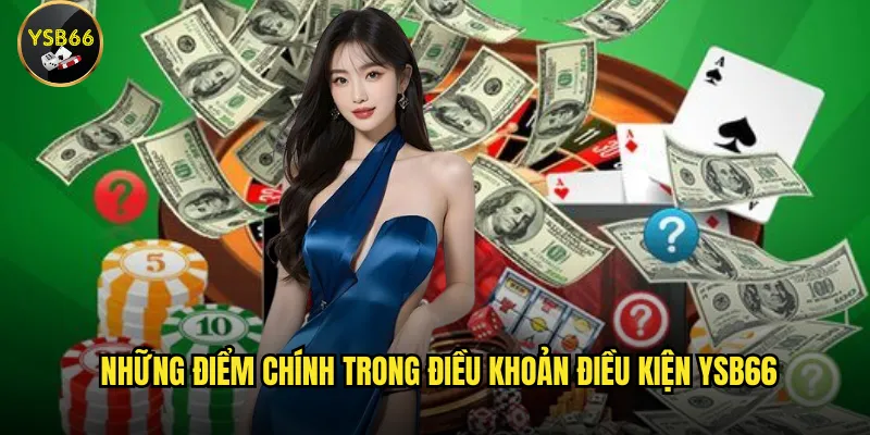 Những điểm chính trong điều khoản điều kiện Ysb66