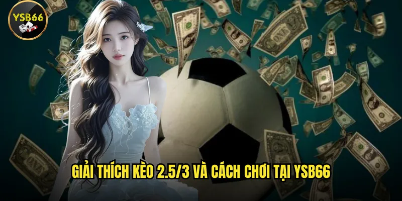 Giải thích kèo 2.5/3 và cách chơi tại Ysb66