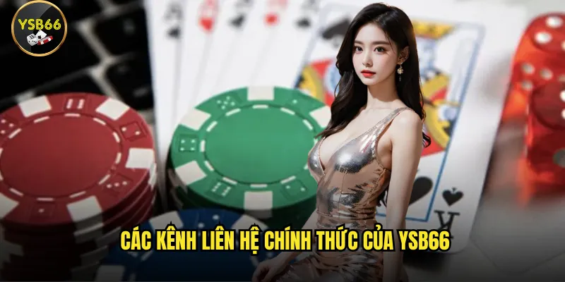 Các kênh liên hệ chính thức của Ysb66