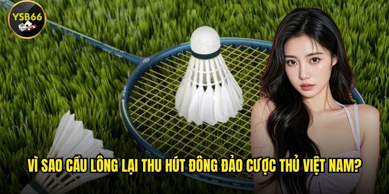 Vì sao cầu lông lại thu hút đông đảo cược thủ Việt Nam?