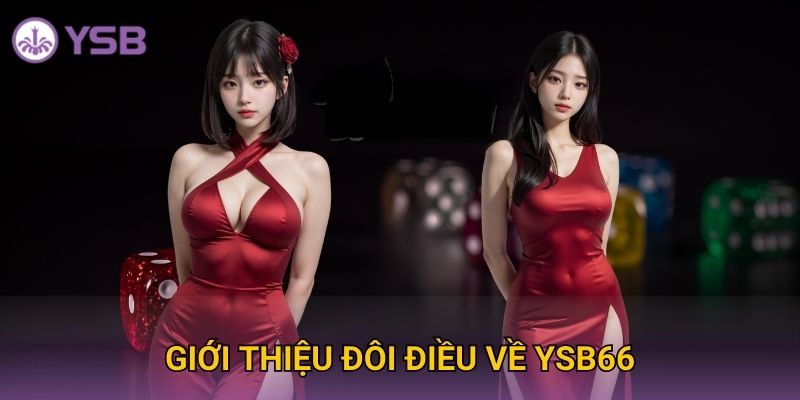 Giới thiệu đôi điều về Ysb66